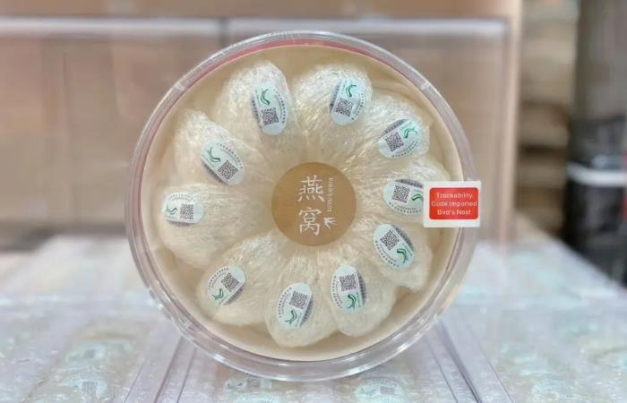 吉水县虫草回收店还行